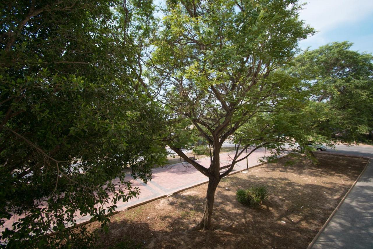 113 Beach And Trees - Alicante Holiday Torrevieja Exterior foto